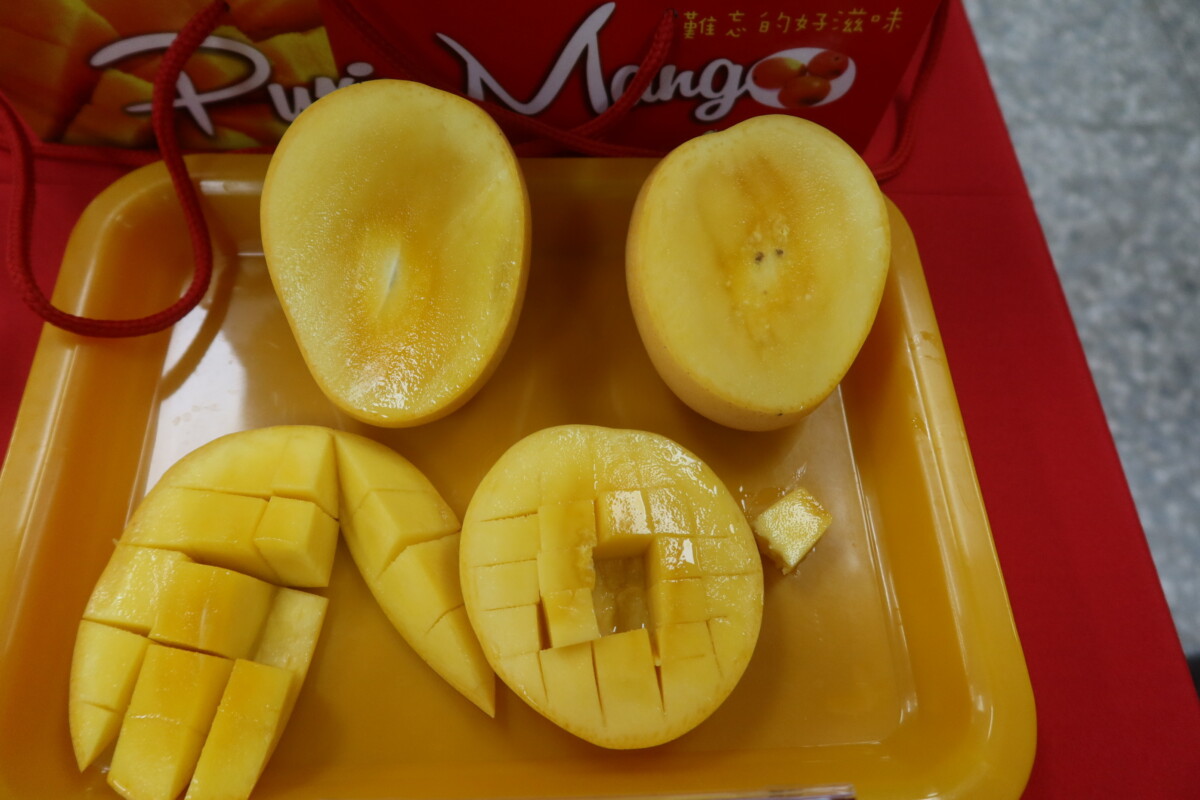 1a62272500d4b1bf8336a0a027c2b2ad