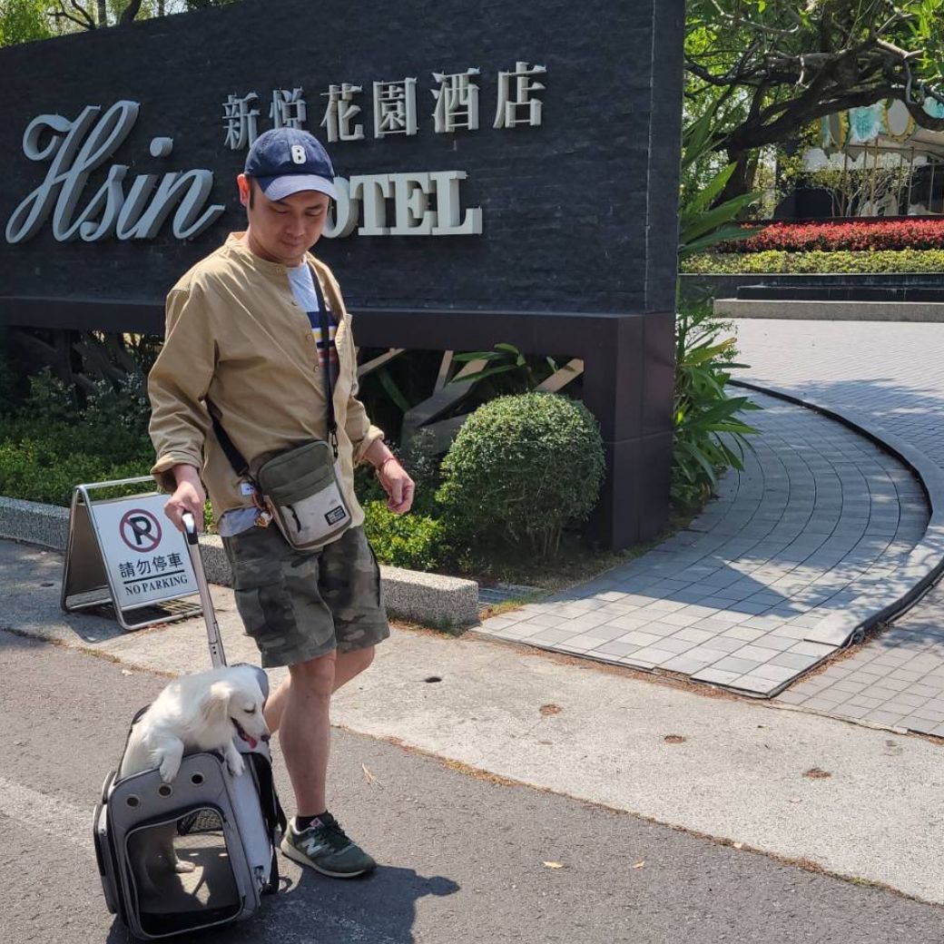 嘉義市新悦花園酒店邀9月來嘉享欒樹花海浪漫 ，享「你住宿，我請客」的小確幸。（圖/新悦花園酒店提供）