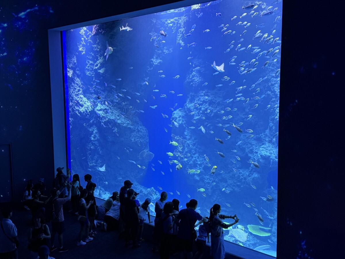 ▲台中海洋館開館！六大首創亮點民眾熱情湧入見證。(圖/中市府提供)