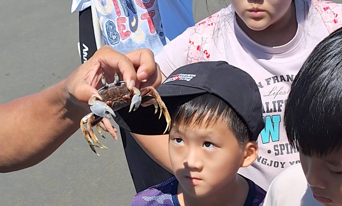 暑假期間帶領大小朋友認識苑裡海岸，讓孩童們學習保護海洋資源。(圖/苑裡鎮立圖書館提供)