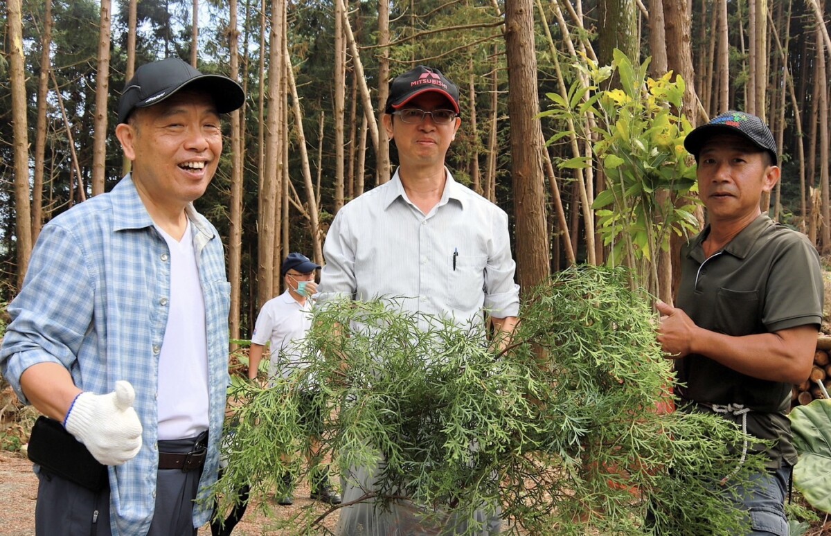 農業部農村水土保持署南投分署副分署長陳存凱帶領民間團體於番路鄉土匪山林業生態園區，攜手種植原生樹種，共同推動的「淨零共植．永續同行」。（圖/記者陳惲朋翻攝）