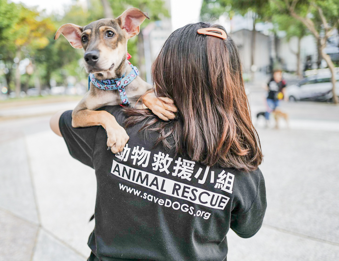 ▲動物保護團體希望民眾觀賞歌仔戲演出中體悟「尊重生命、善待動物」的精神。（圖/台灣動物緊急救援小組提供）