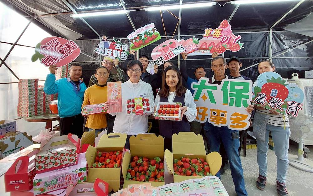 嘉義縣太保市公所鄭淑分市長與太保市農會黃靜玉總幹事為提昇農民收益與觀光效益，攜手行銷轄內7家優質草莓園。（圖/太保市公所提供）