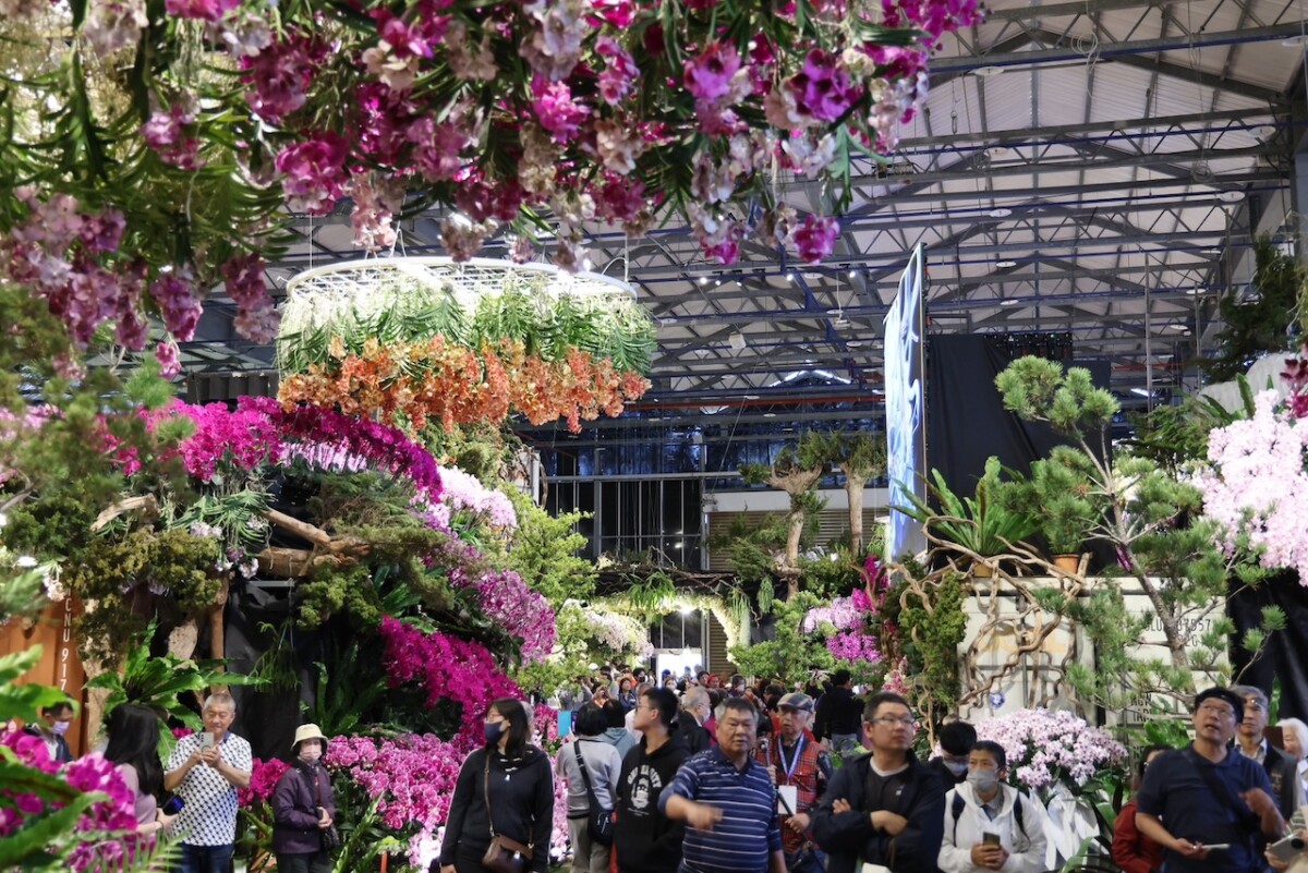 2026台灣國際蘭展「雙展齊發」    呈現花卉產業競爭力及發展潛力