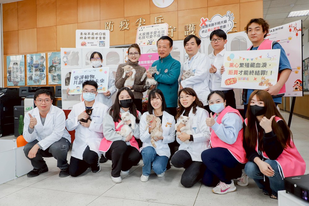 嘉義縣政府家畜疾病防治所進行「喵星人命定配對」認養抽籤，4,400人符合抽籤資格的中，抽出29位正備取認養，中籤率僅0.65%。（圖/嘉義縣政府提供）