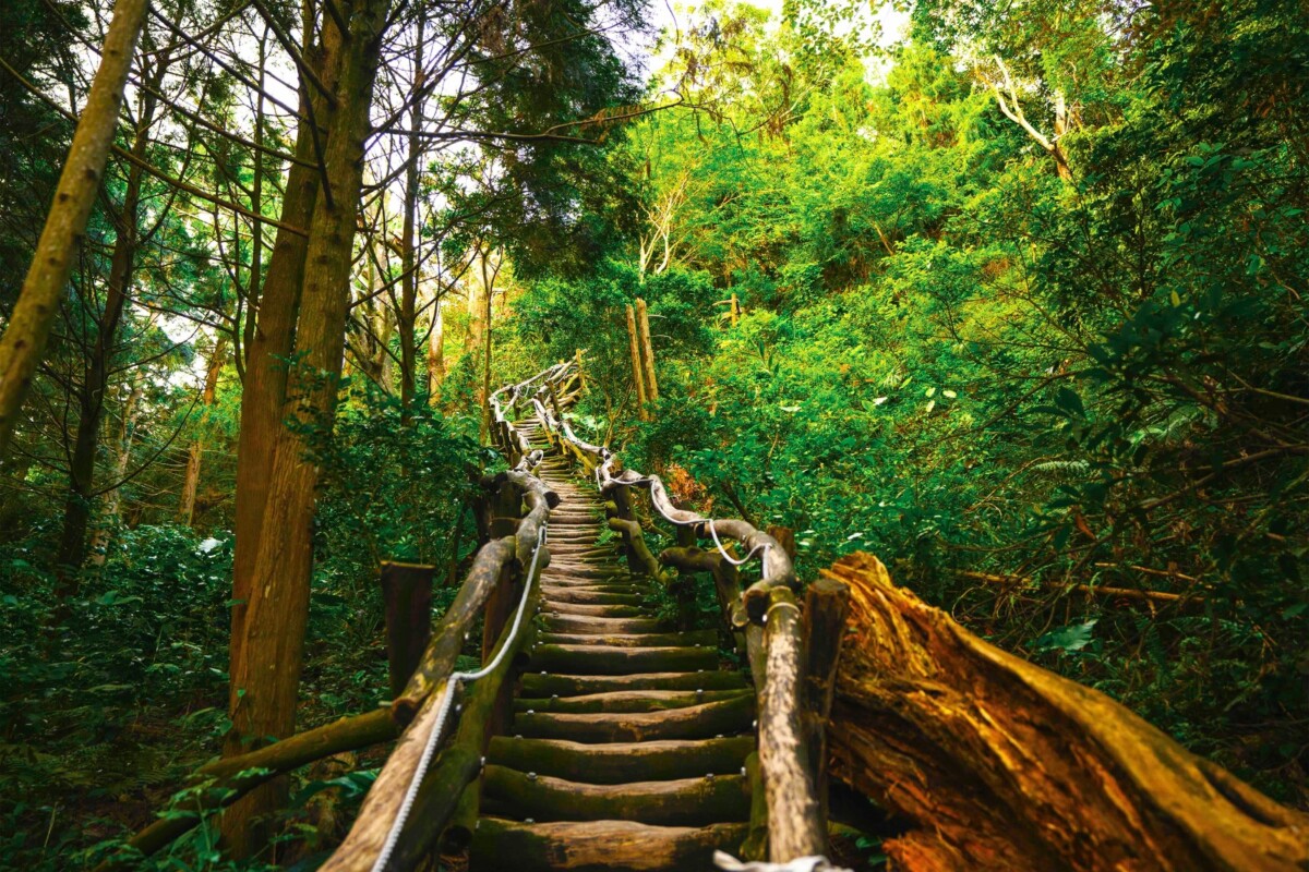 ▲適合喜愛戶外活動的大坑登山步道。(圖/中市府提供)
