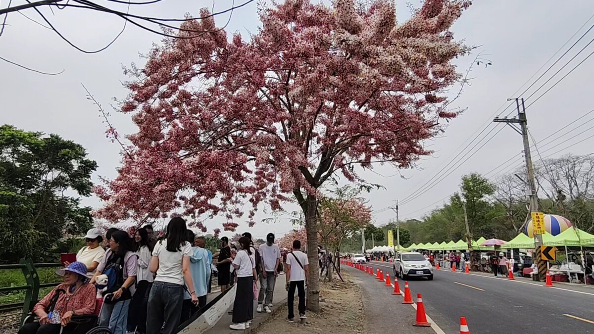 00d0a2df5b172cea31d307a6bdcd5b8c