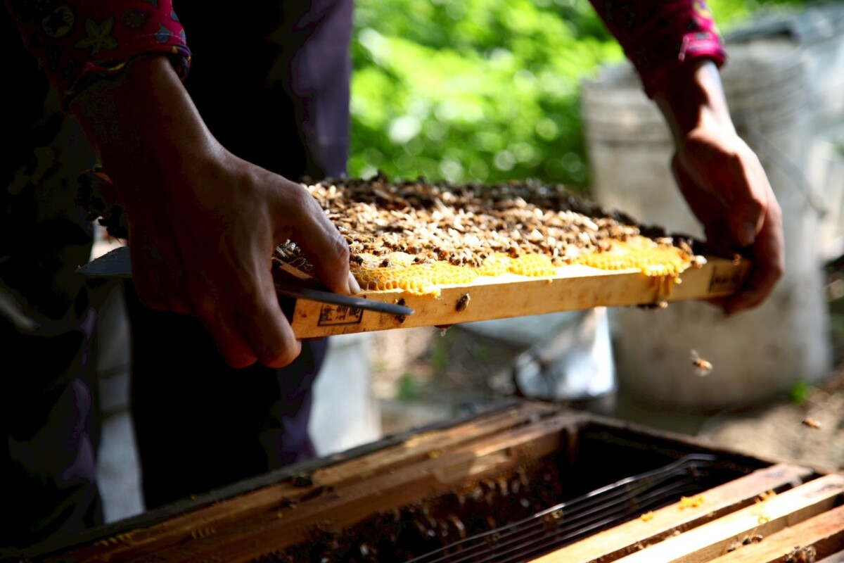 2f2cf0268d98902ac2e76a8c0492f3d1