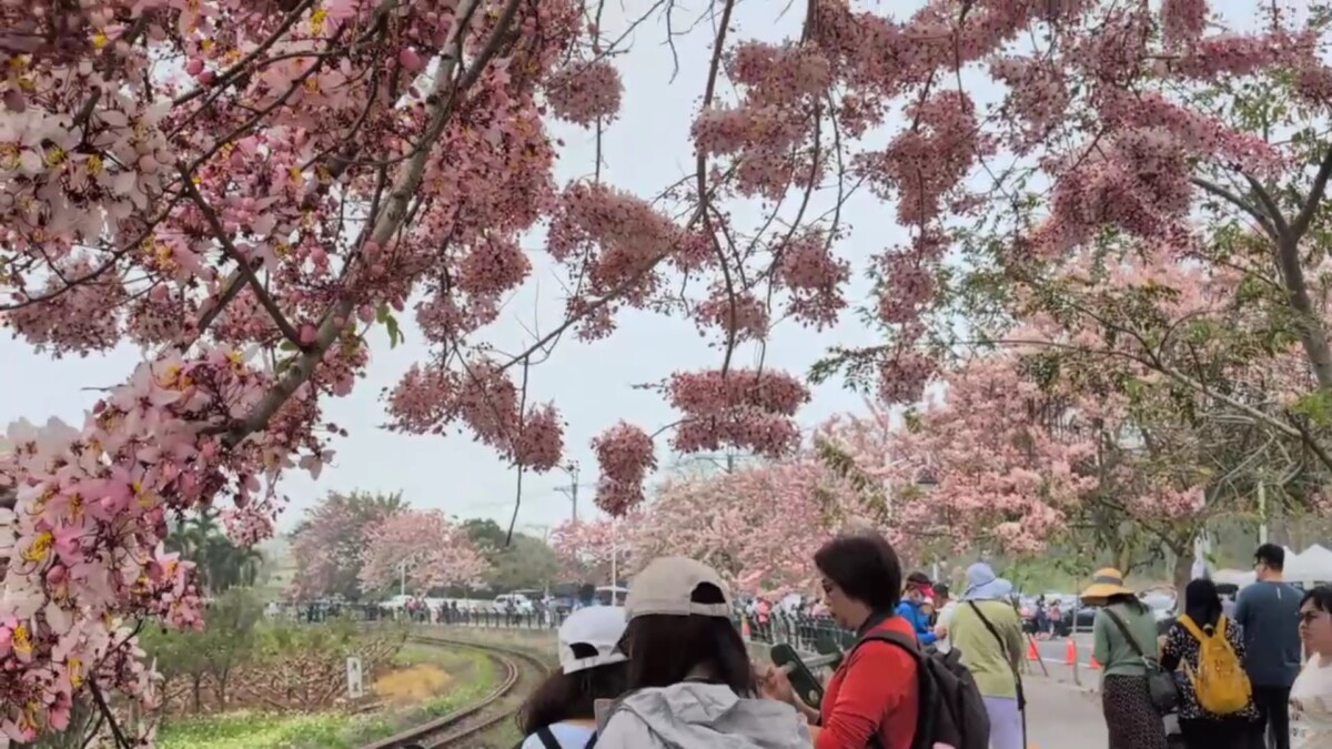 34796bf6147654618030597ab85a6c0f