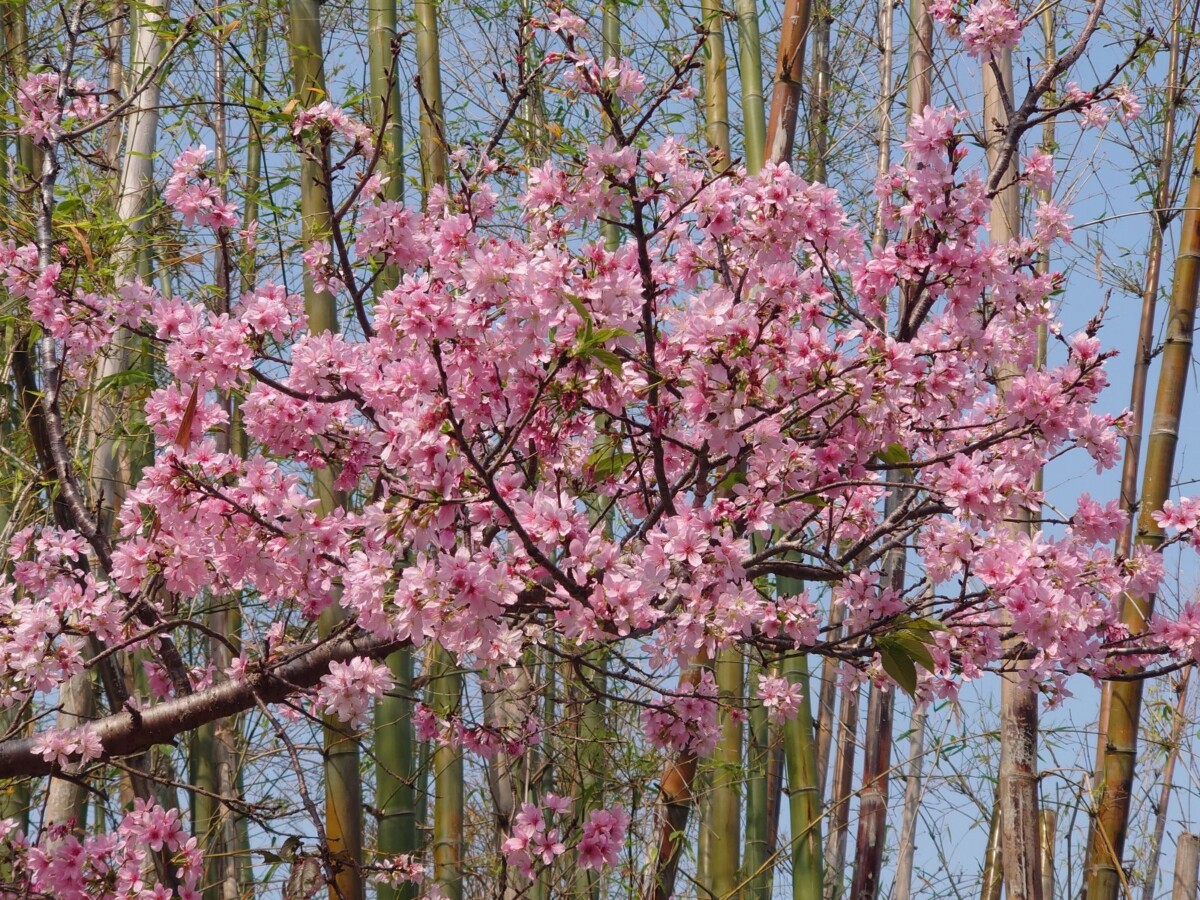 378620ff9c31373f08f59e0255de0d9b