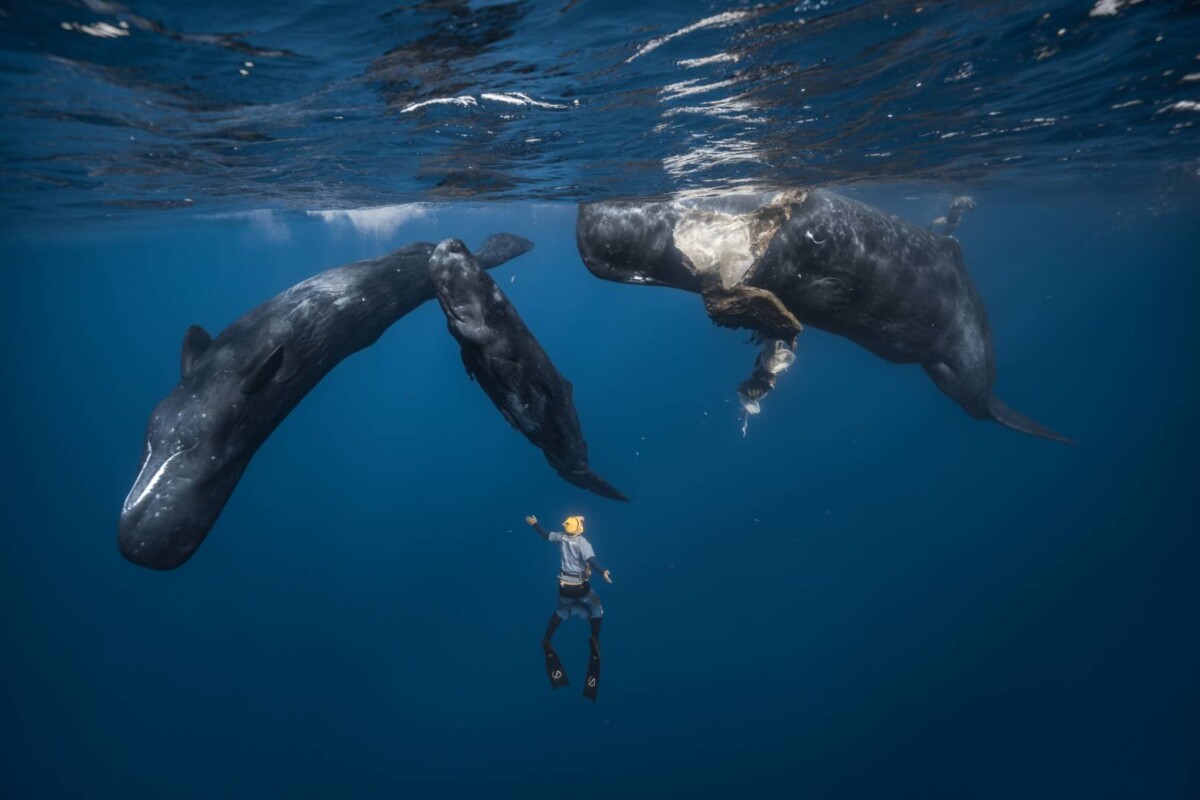 3e4b13516656ae2d4c2d8b2d4d75d105