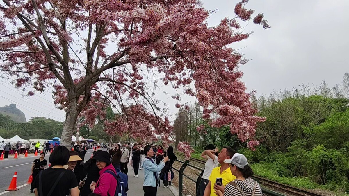 7b101a725615c9d26dafb0e33bf18751