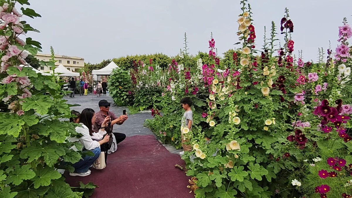 910c20aef035d88d36e4273eed34744a