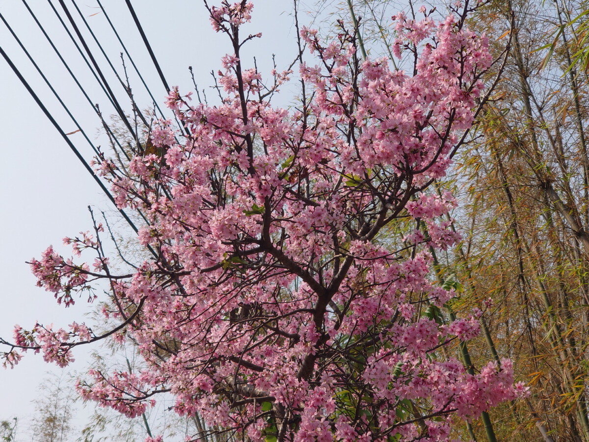 95e3aa76688bc8c16706ae7c65e243f8