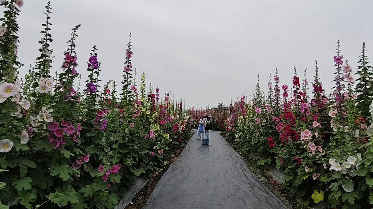 Ab778f6bdb5c3dff5decb98e883dbec2