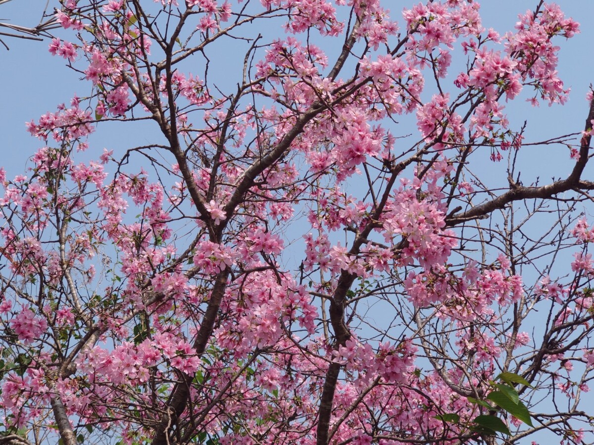 Cad7163e07fbcd95dd9c1d4864b3d7e9