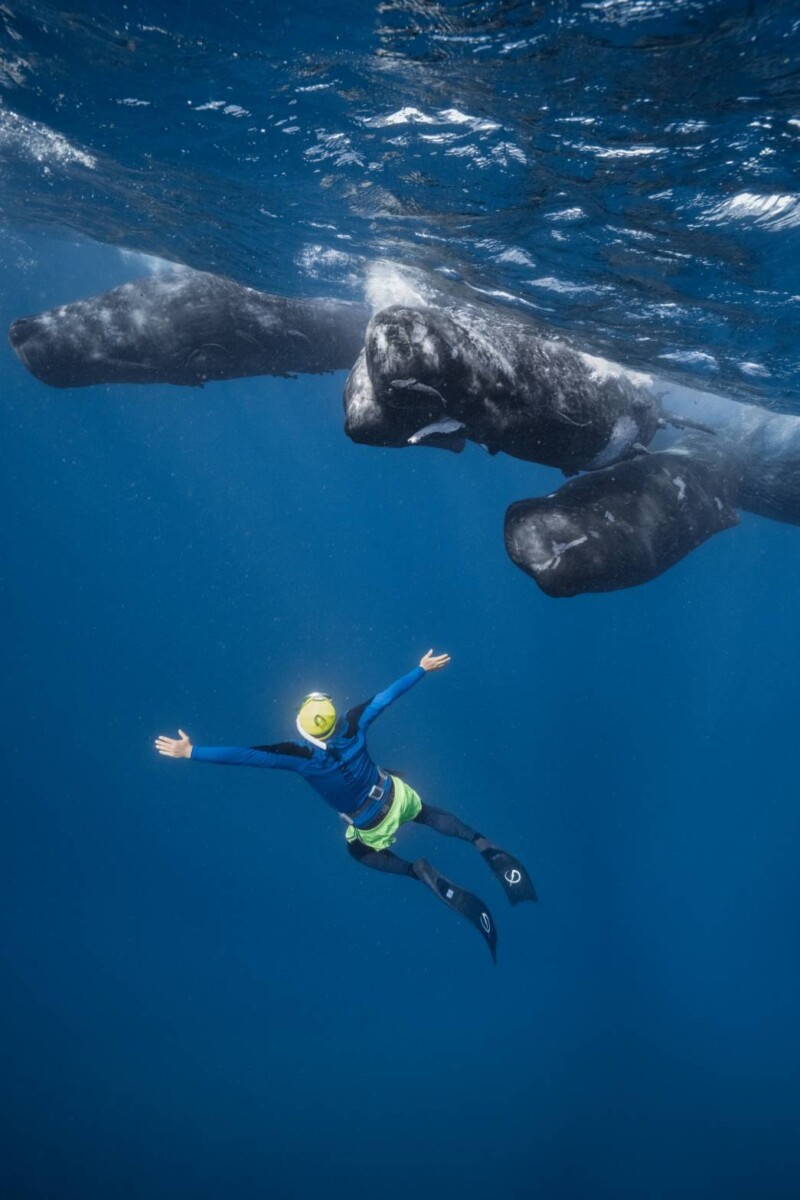 Cad88b7f59f03d4c26347fd71a64ba95