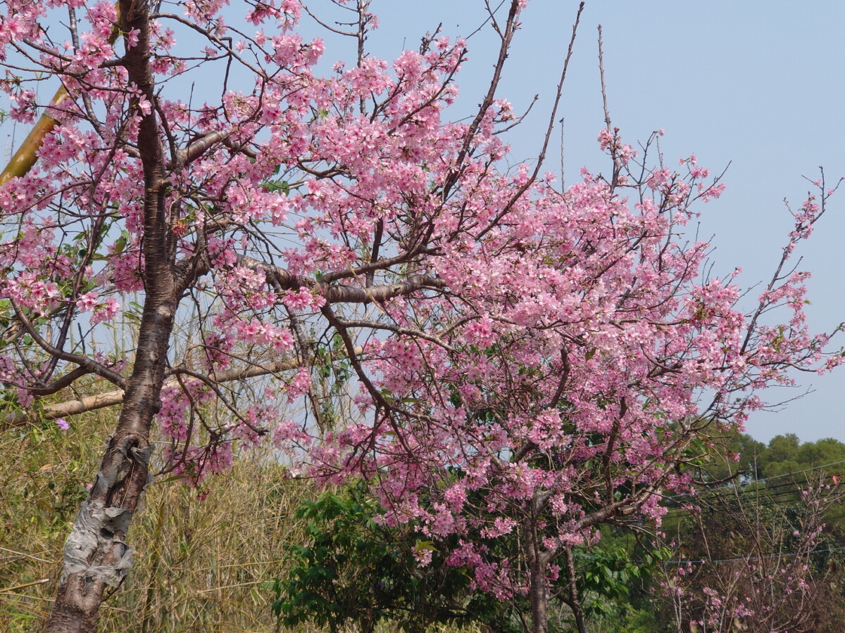 Ce4a8fbc0ecb86d5655abc581dd69b3a