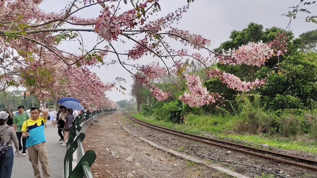 D2e6534e1ca11340bd2f7381a42e8d07