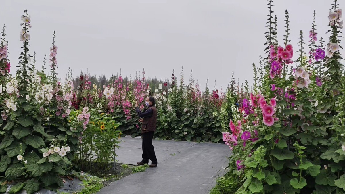 Dc7cb6661f8283d6be6c745dd16fba53