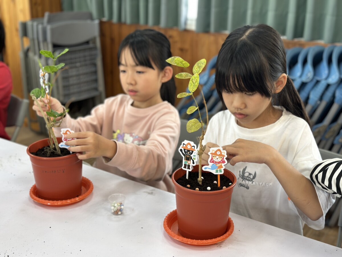 植樹節特別課程　花壇文祥國小學生親手栽茉莉花