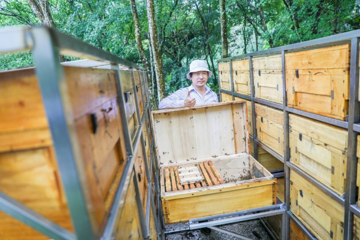 00a00640e63381459d4029092869ba74