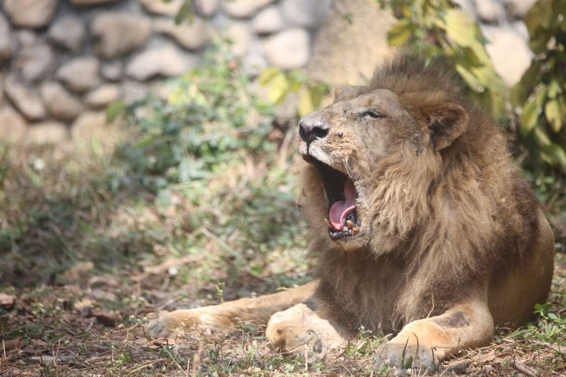 0299409df6930abcf01d2deb198766a8