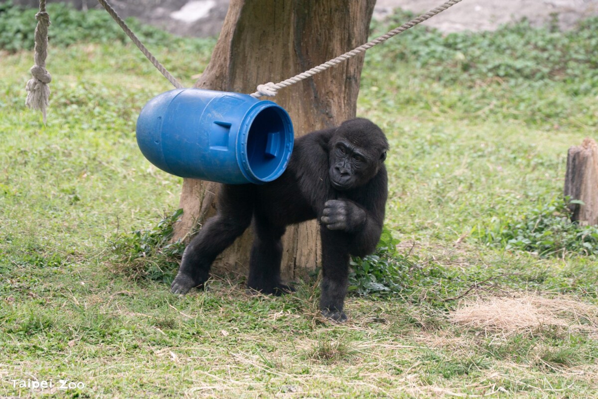 05098fa34bfa5c85e5364e3bac69d12b