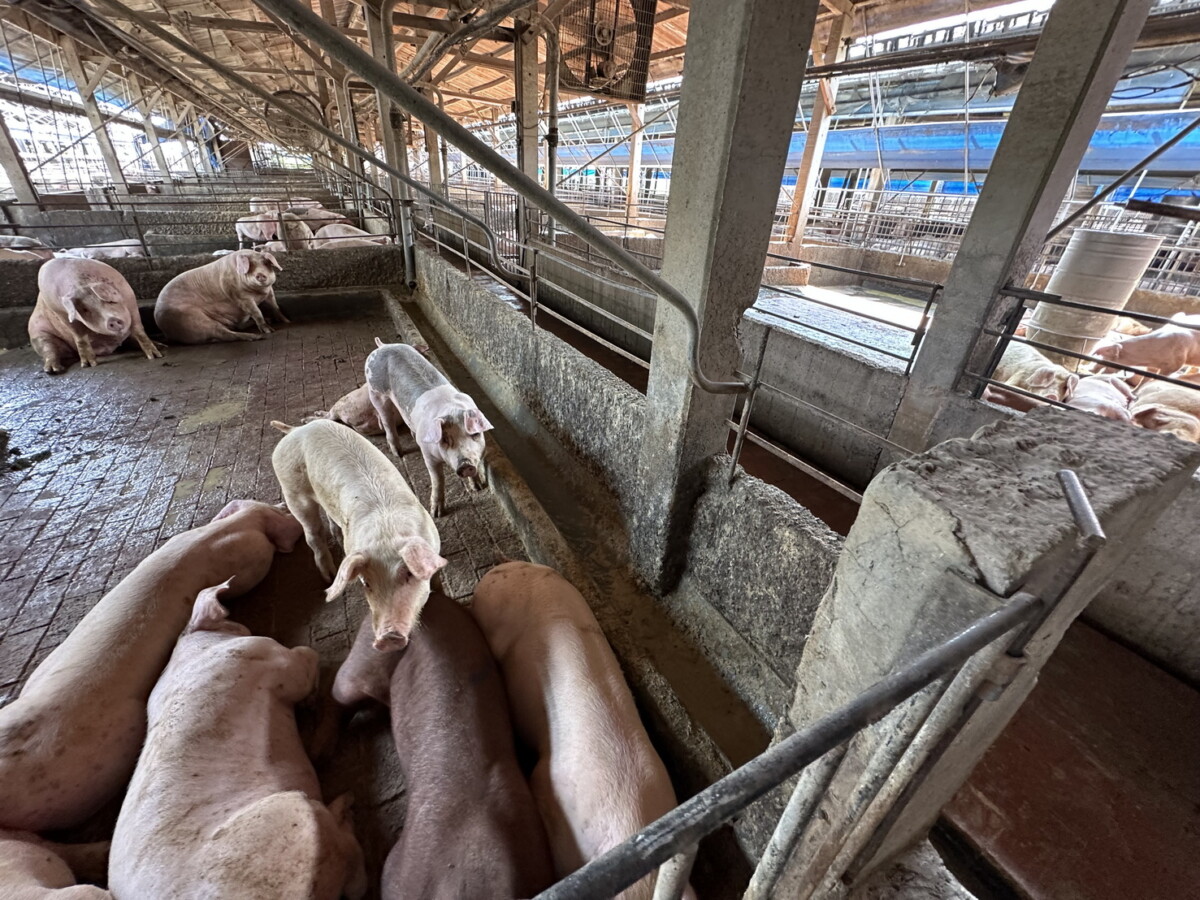 1bdfc66598c1405e751f96e60bae73ed