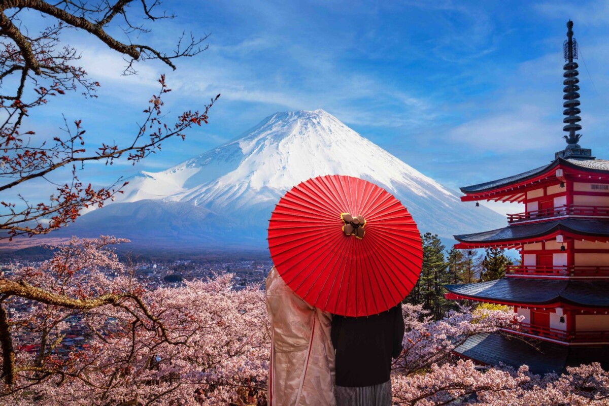 1c3612b7d720fed391061faca678f883