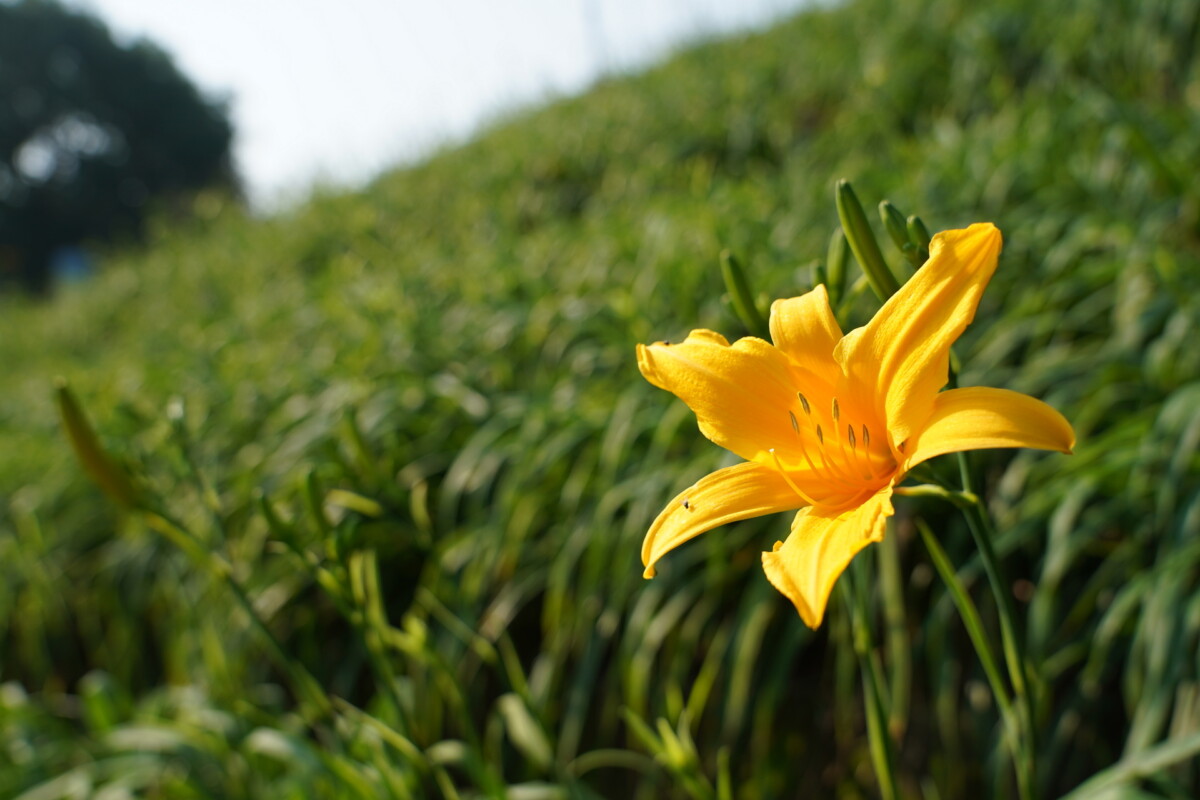 2c6791f1bd6da6ae42461dd4c3763a4a