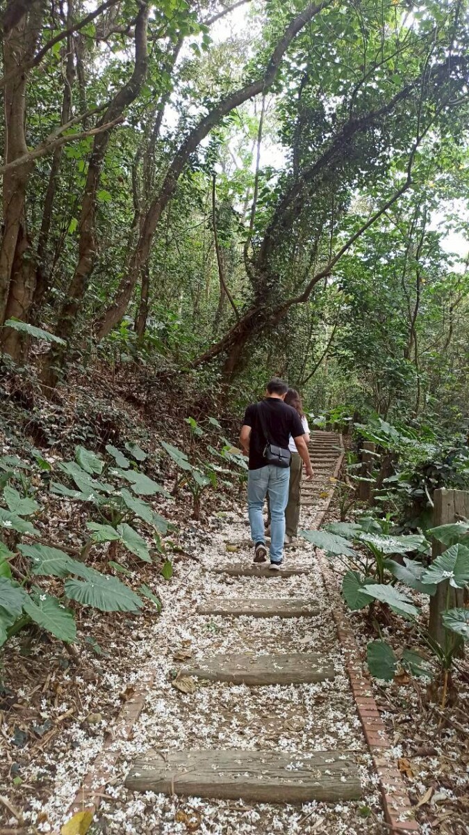 3d047e56096fbb5af825b68681f59d9d