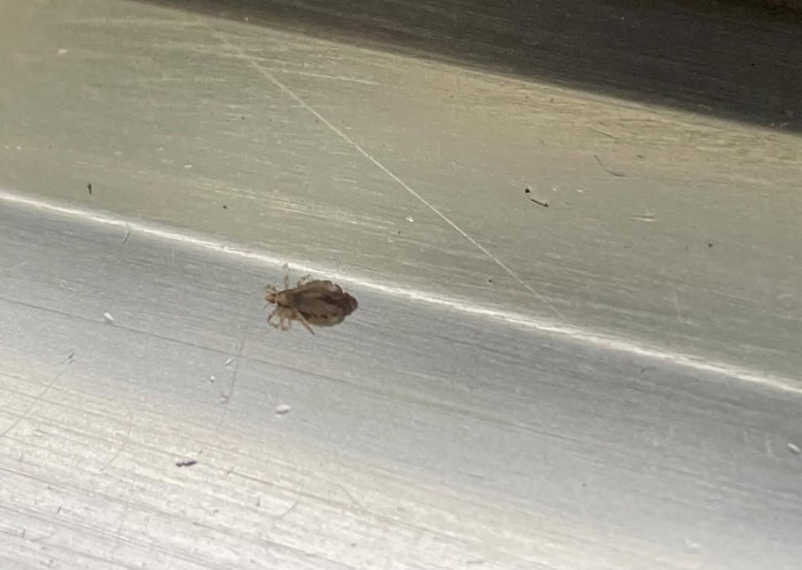 3f6e371940a7efdd247996953159539c