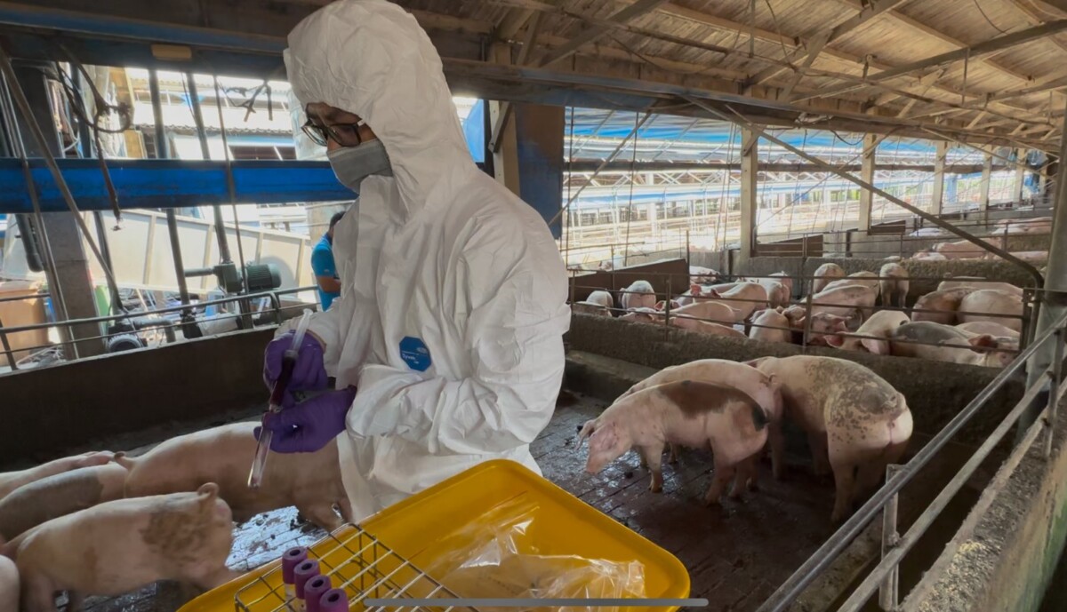 42dcad9a79d29146d36c795dccce7818