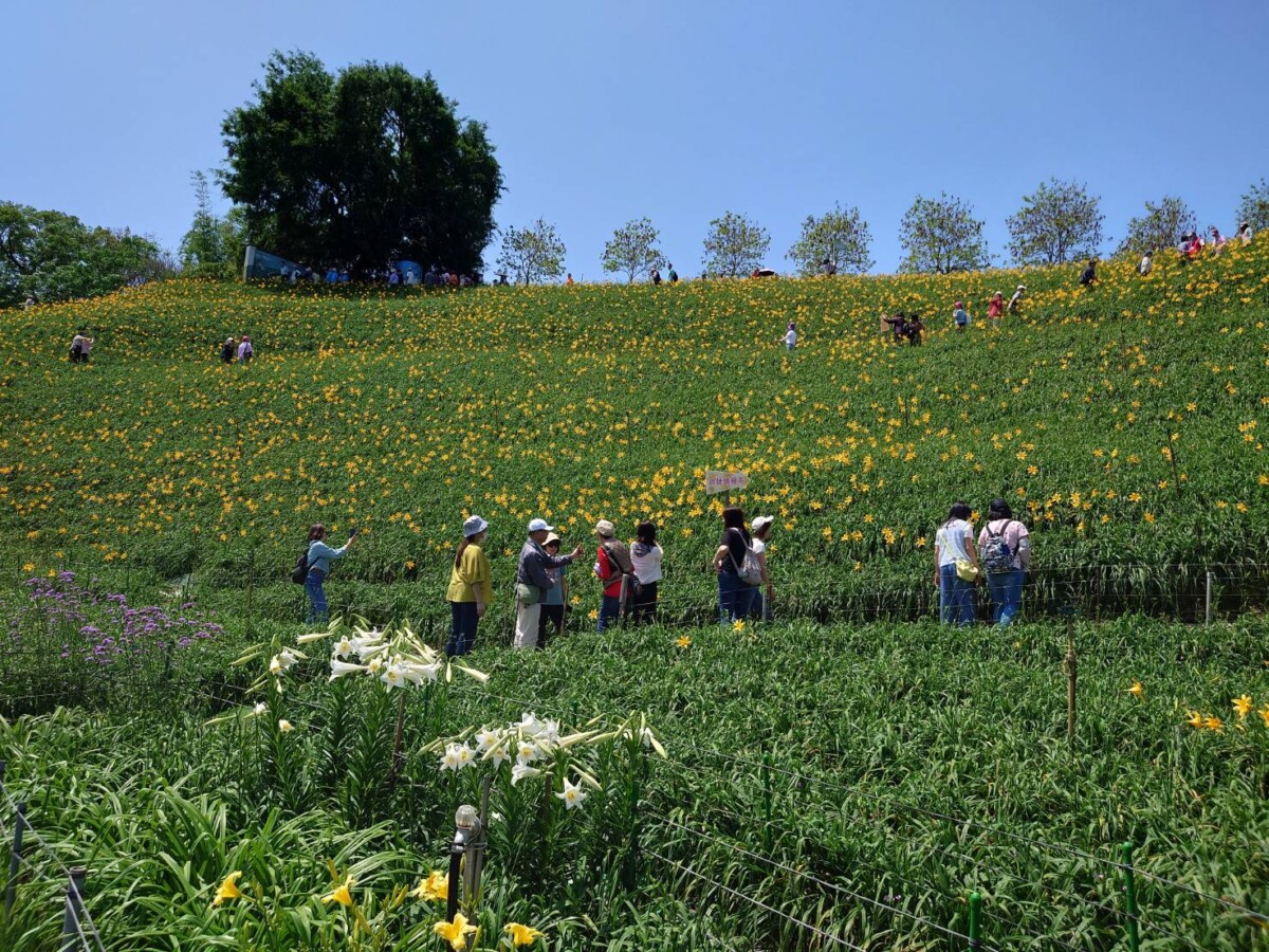 4a1dc0e7a3e8f8501a26d3a97de65597