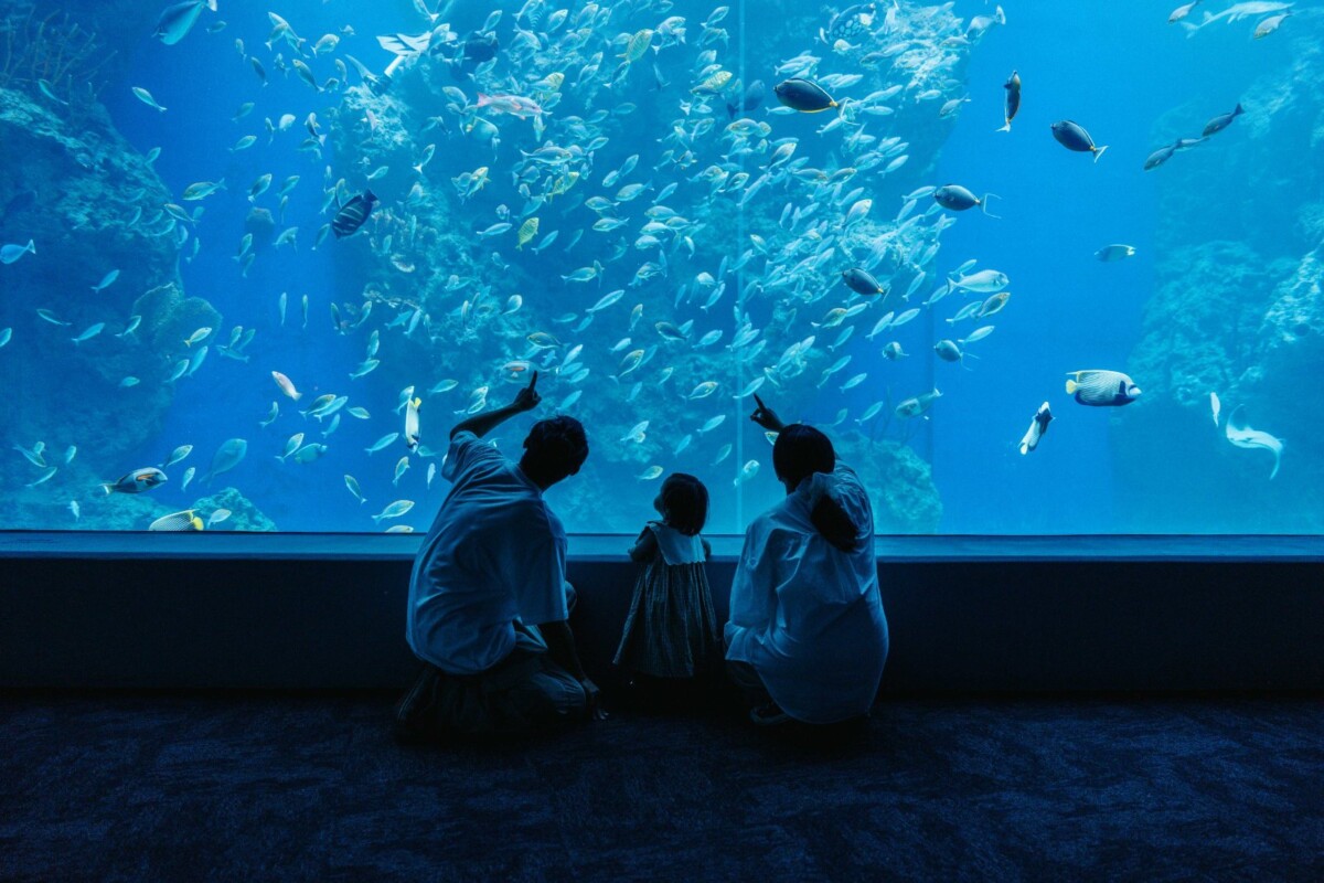 5a27b7a1a68d8c074b0a965622ba03d7