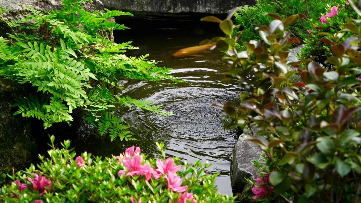 5ee41a1d4d84210f8d47e6260a810c93