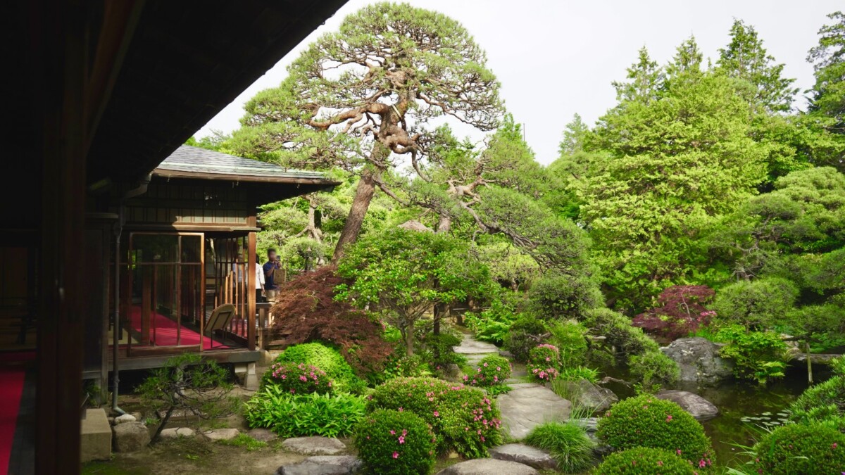 62439c4e693b93bac66c335d9e3e12b8