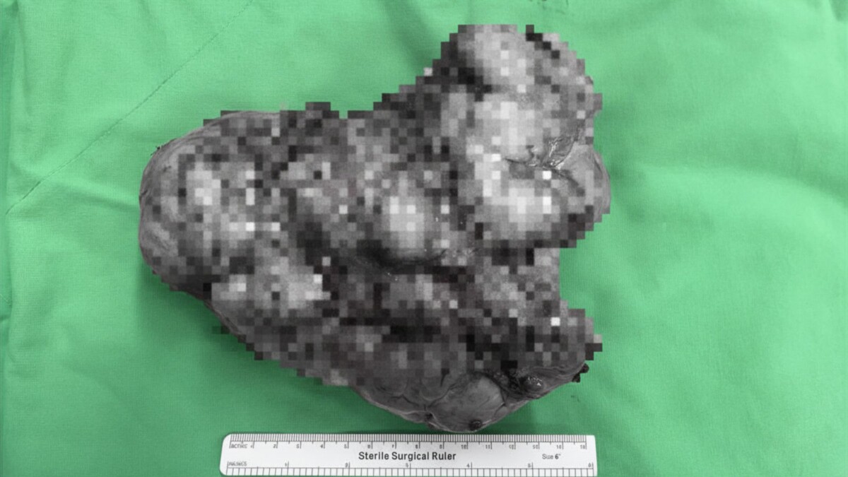 6744eb6f64fe93d6ddef9c80cad4318a