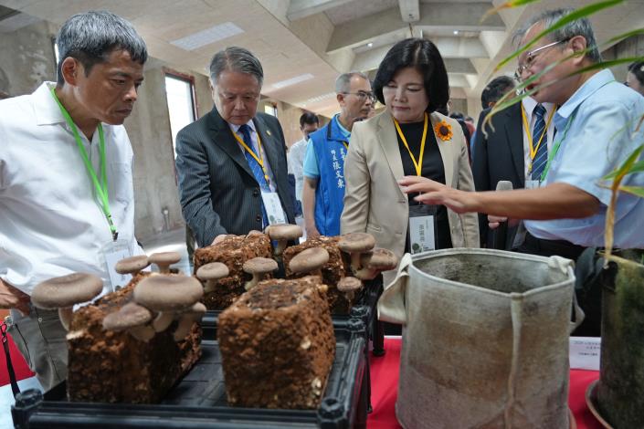 6a52406260bc128c2e12bcf6d8ac9219