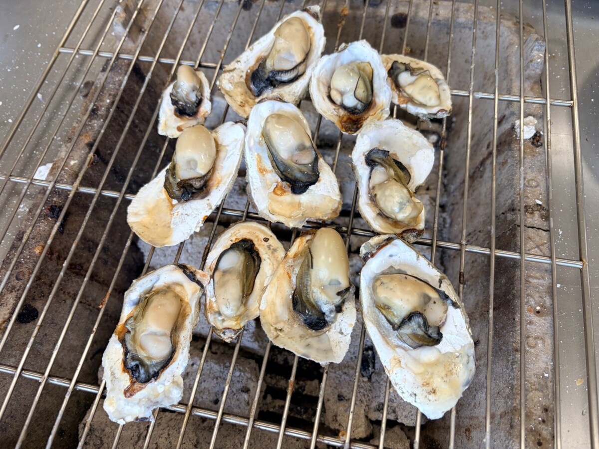 705ca418691ef0e886d35b5c26c7b381