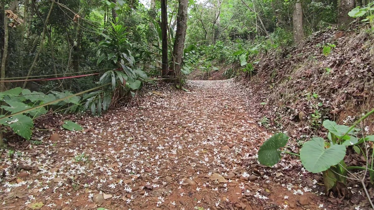 718792b6303abdb900a9929f0728cd72