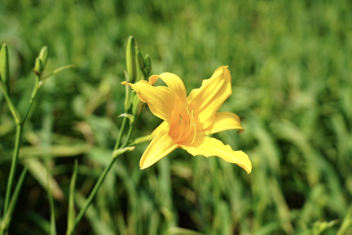 744f7420b87b53f6d22fc6aaa7f24521