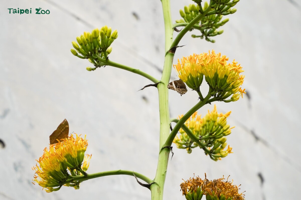 75e54e9f1556bf0ad4669d9710cf5c19