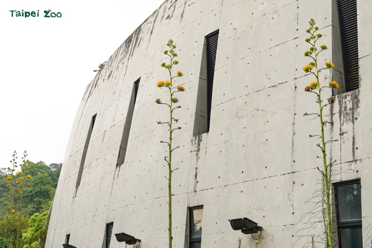 768e532994696c7edb9b38f102c4b503