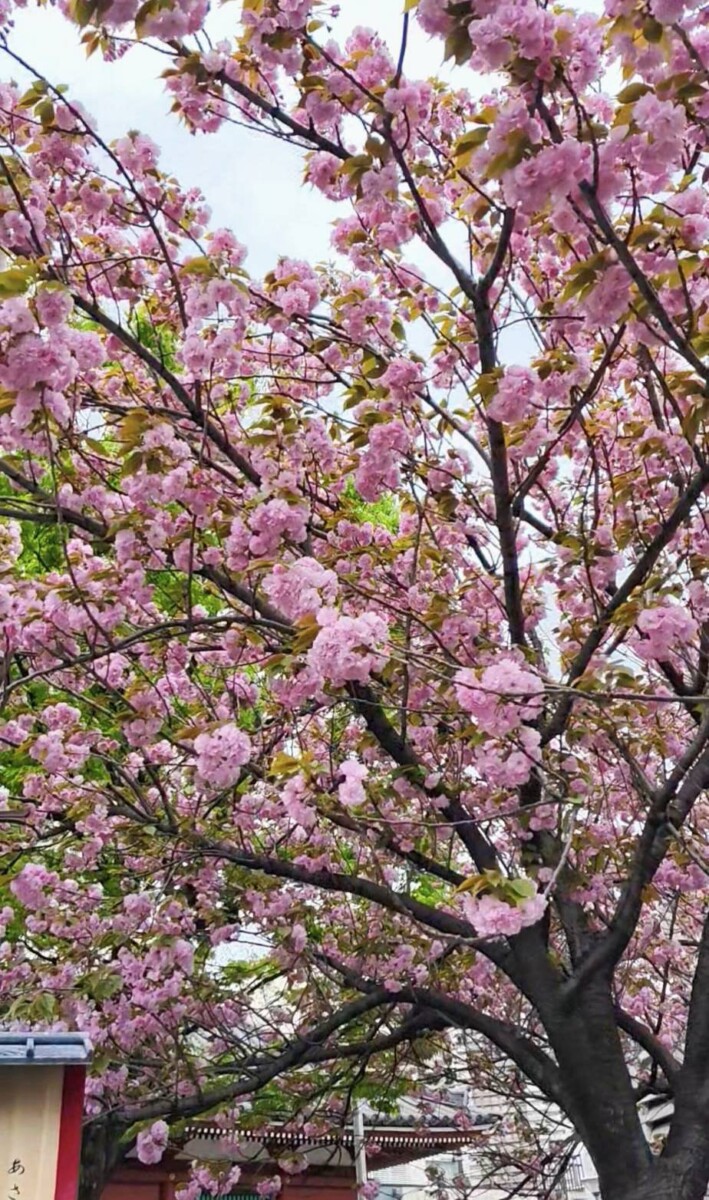 7758fdf529a58bdf16a5ffe6012d16f5