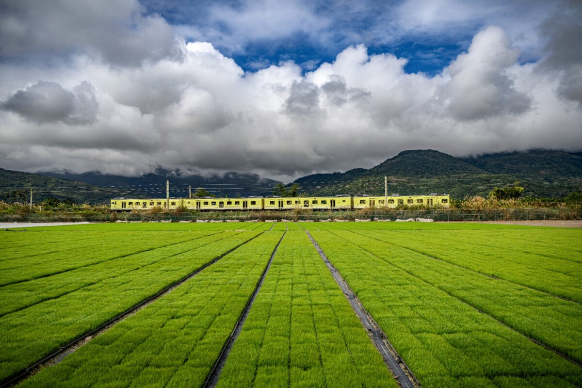 7d46020af42d2fa179a273bf890345c4