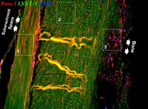 7e791c959d48ebbe1e7de048a0f3fb39