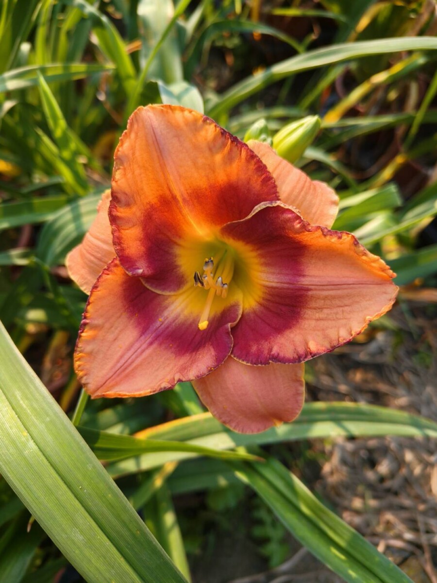 7fc60b27944ed9d14f24c7a77309b72d