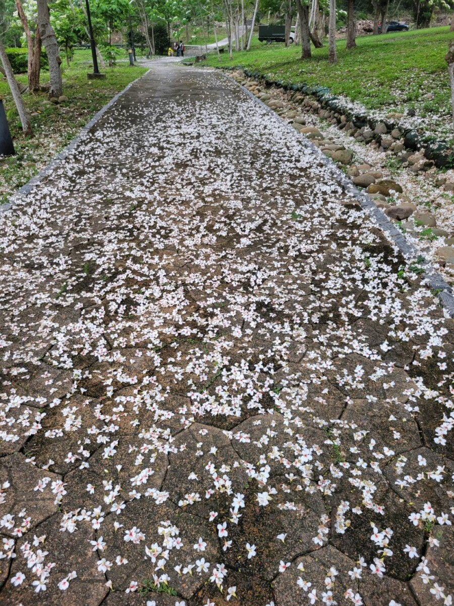 8008a544181feea561ef7c4198fa36b7